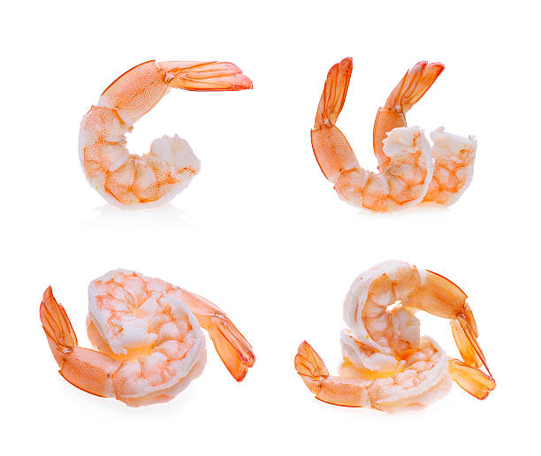 istock shrimps isolated on a white background 545667756