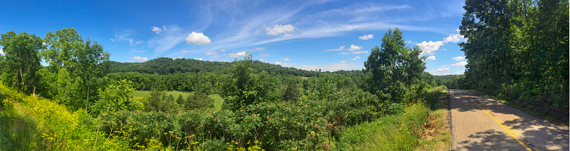 Summertime panorama of a forest and rolling hills.