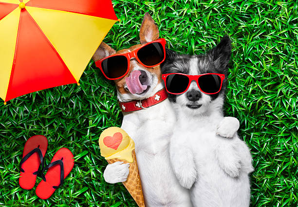 istock couple in love under umbrella 545669894