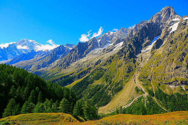 mont blanc, paysage alpin des grandes jorasses, pinèdes, vallée d’aoste - aiguille du midi photos et images de collection