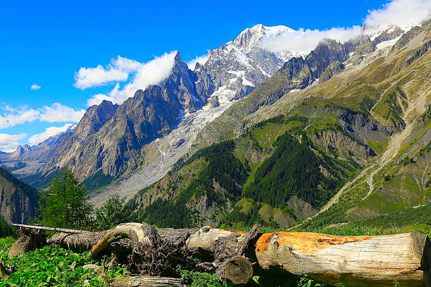 istock Mont Blanc idyllic alpine landscape, pine trunk woods, Aosta Valley 545673122