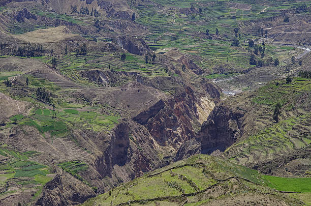 istock Colca Canyon panorama, Peru,South America. 545675244