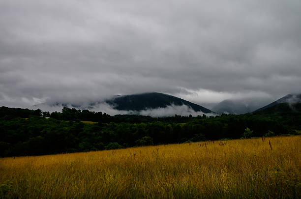 Niebla en el valle - foto de stock