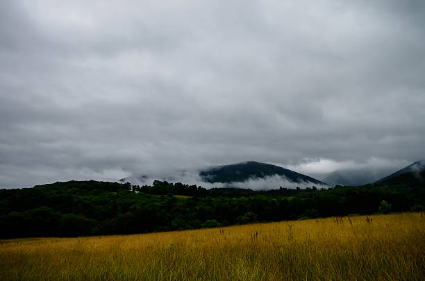Niebla en el valle - foto de stock