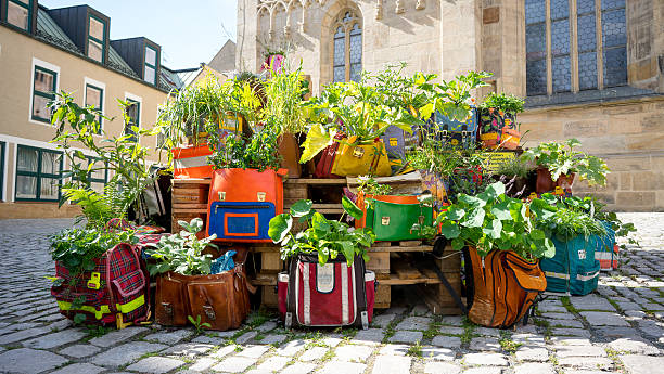 Satchel and plant Bayreuth, Germany - July 10, 2016: Green planted in satchels in front of the town church of Bayreuth (Stadtkirche). It´s a green art decoration in front at the church square with old satchels and young plants in it. bayreuth stock pictures, royalty-free photos & images