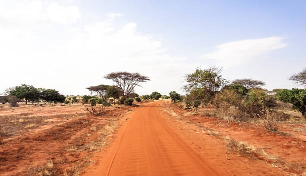 istock African savannah. Eastern Africa landscape 545774966