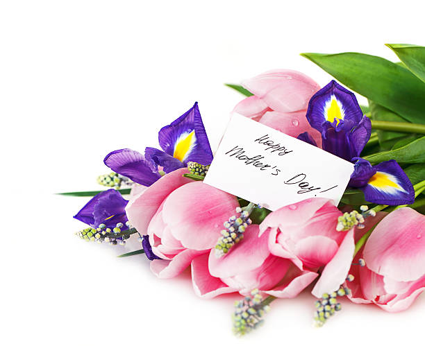 istock Beautiful dark purple iris flower, tulips and muscari 545775112
