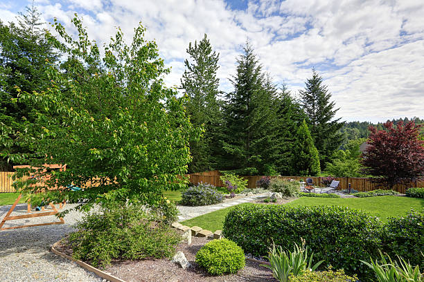 istock Large fenced backyard with patio and play set. 545781978