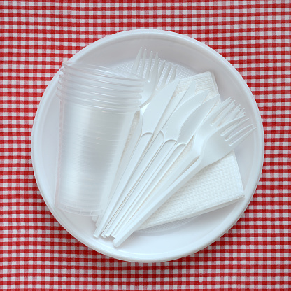 Disposable plastic plate on a checkered cloth.
