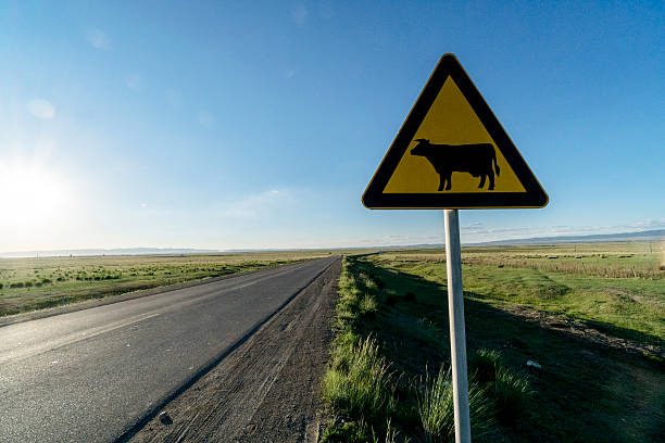 istock caution sign about animal, beside countryroad 545784968
