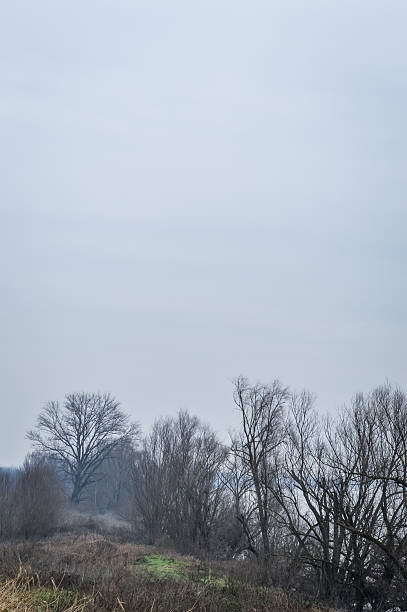 istock sad riverbank in winter 545785058