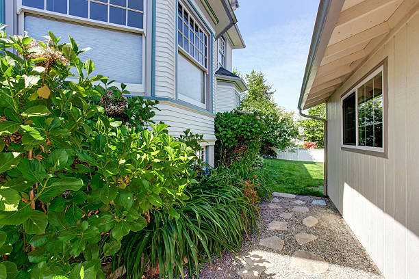 istock Backyard house view with green lawn 545788656