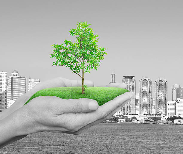 istock Growing green tree in hands over city tower, Environment concept 545788858
