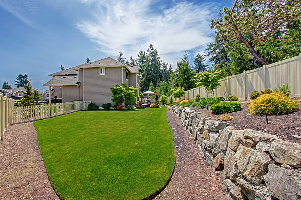 istock House with backyard patio and landscape design 545790238