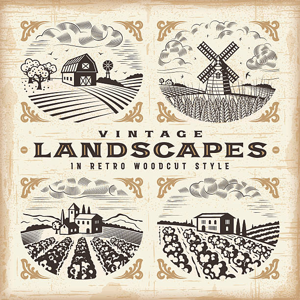 ilustrações de stock, clip art, desenhos animados e ícones de vintage landscapes set - grove