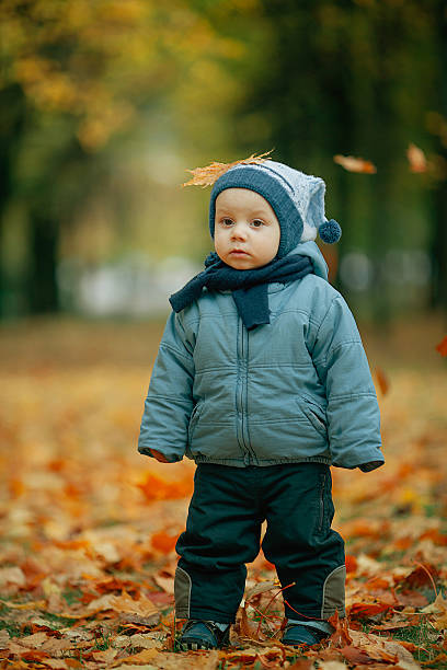istock little boy in autumn park 545793462