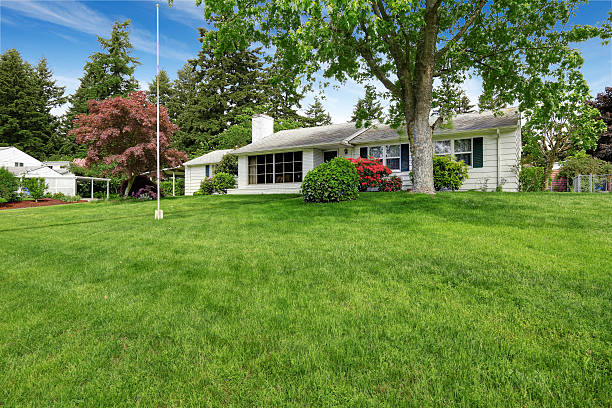 istock Grass filled front garden of American classic rambler. 545794226