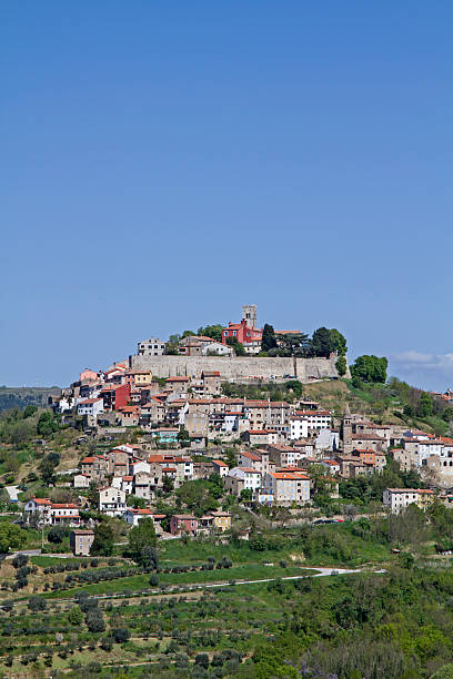istock Motovun in Istria 545794516