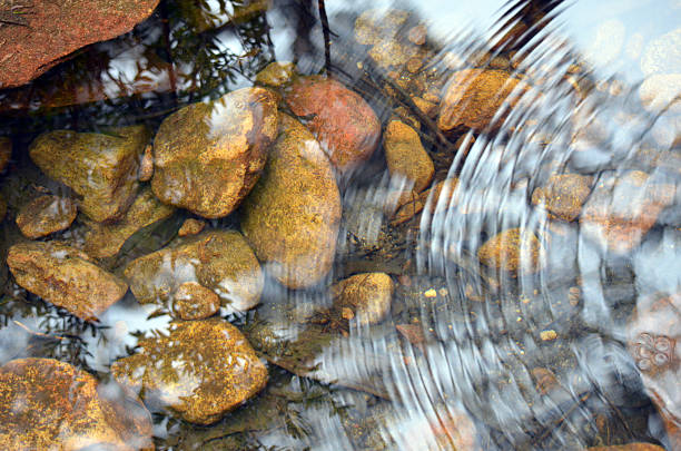 ondulations et reflets dans un étang caillouteux - stream flowing water photos et images de collection