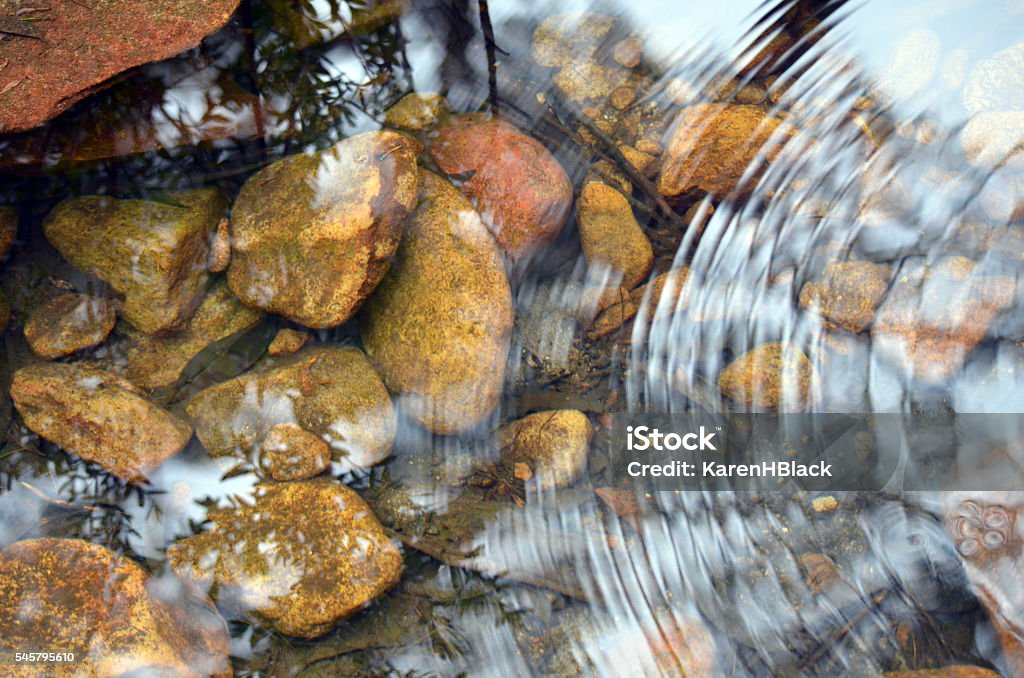 小石の池の波紋と反射 - 水のロイヤリティフリーストックフォト