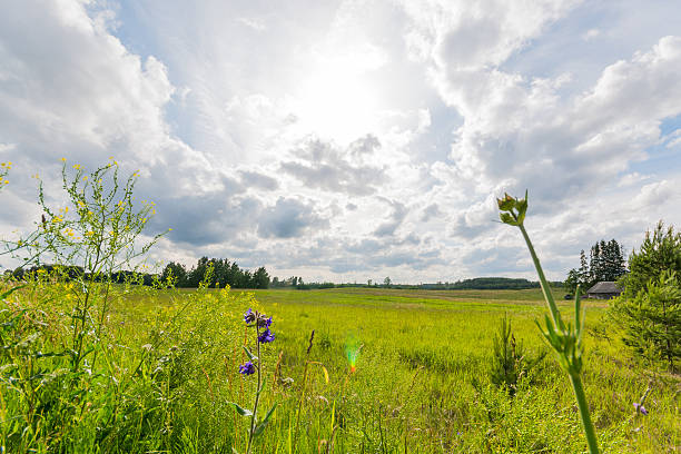 istock Green field. Summer landscape with beautiful clouds. Sunny weather. 545795632