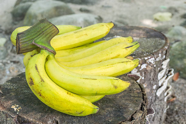 istock Fresh bananas on wooden background 545795802
