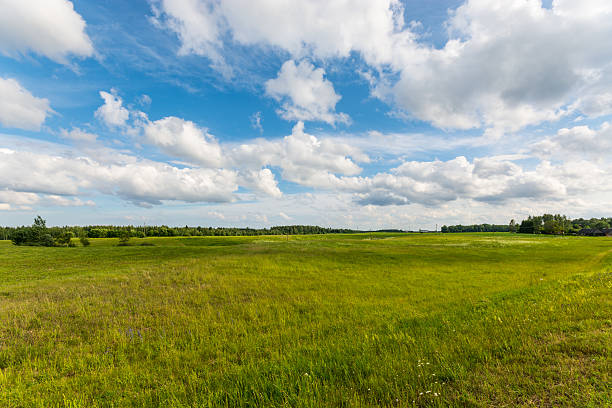 Green field. Summer landscape with beautiful clouds. Sunny weather. stock photo