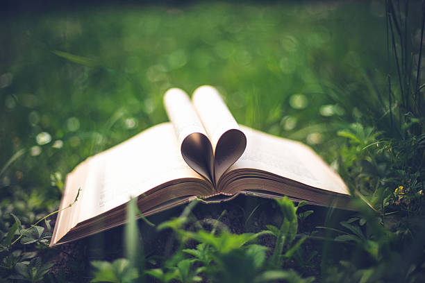 istock Close up heart shape from paper book on grass 545798314