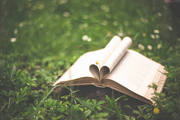 крупным планом форму сердца из бумажной книги на траве - heart shape grass paper green стоковые фото и изображения