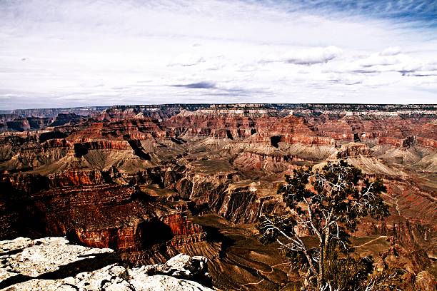 istock Grand Canyon National Park seen from Desert View 545801704
