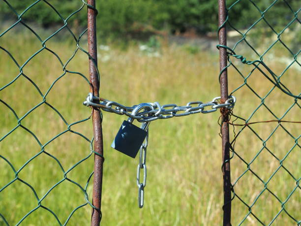 istock Wire netted fence locked by metail chain and padlocked 545802980