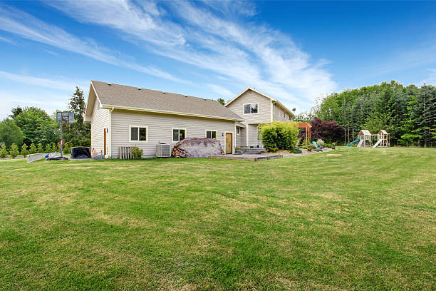 istock Beautiful house backyard with well kept lawn, trees 545804398