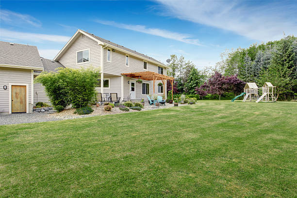 istock Beautiful house backyard with well kept lawn and patio area 545804508