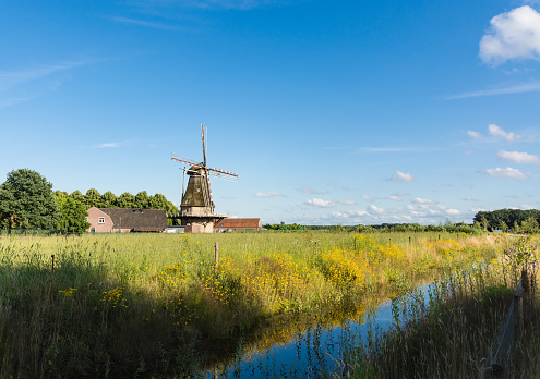 Dutch summer landscape with windmill