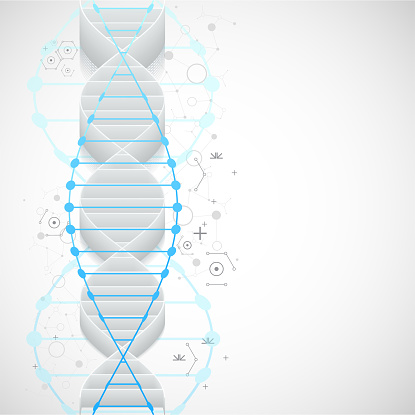 Science Template Wallpaper Or Banner With A 3d Dna Molecules Stock  Illustration - Download Image Now - iStock