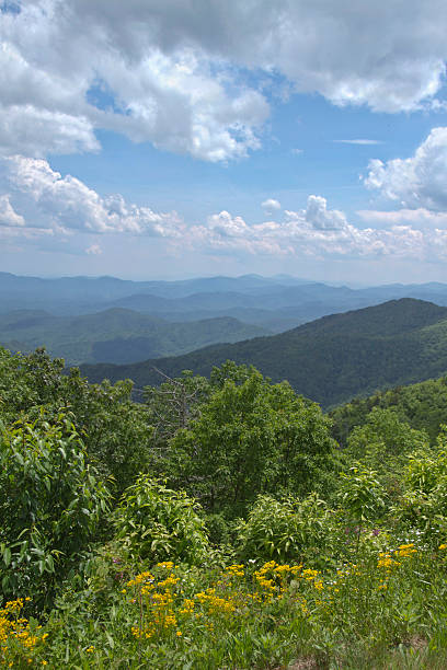 istock Scenic Appalachian Mountain Wilderness in Summer 545810936