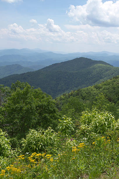 istock Appalachian Mountains Natural Beauty 545811034