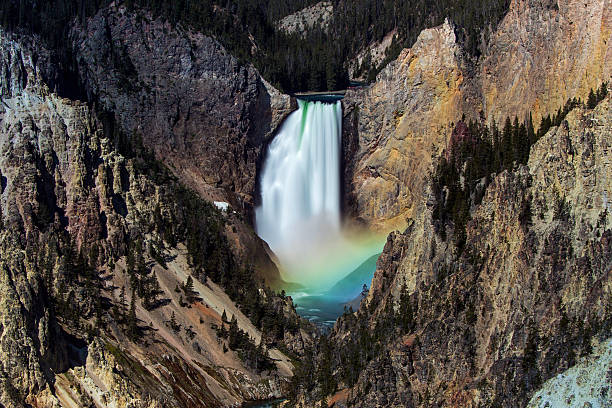 Yellowstone Waterfall with a rainbow Lower Falls of the Yellowstone River at Yellowstone National Park. Early morning sunlight creates the conditions to form a rainbow at the base of the falls. grand canyon of yellowstone river stock pictures, royalty-free photos & images