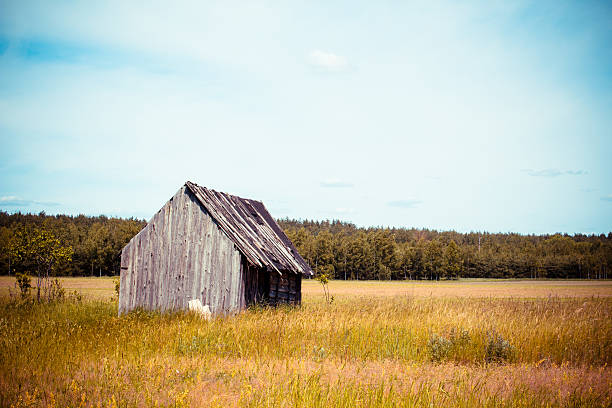 An old abandoned small horror wooden house in the fields sky clouds, next to a path scary concept.Horror vintage filter.toned.