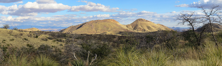 Late afternoon view of the Dragoon Foothills and distant mountains in the high desert near Tombstone Arizona
