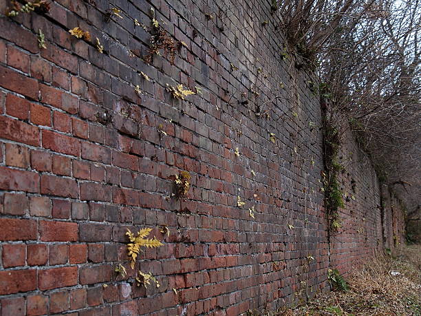 Old brick wall stock photo