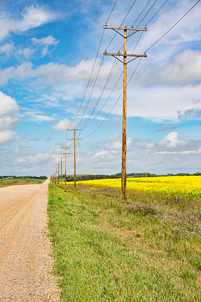 поле желтой рапса рядом с проехавной дорогой - saskatchewan saskatoon field prairie стоковые фото и изображения