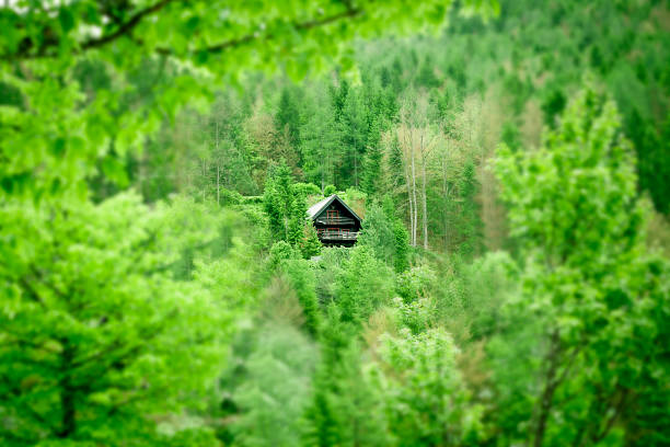 A rustic cabin is situated against a stunning mountain backdrop, showcasing lush greenery and a clear blue sky with fluffy clouds floating above.