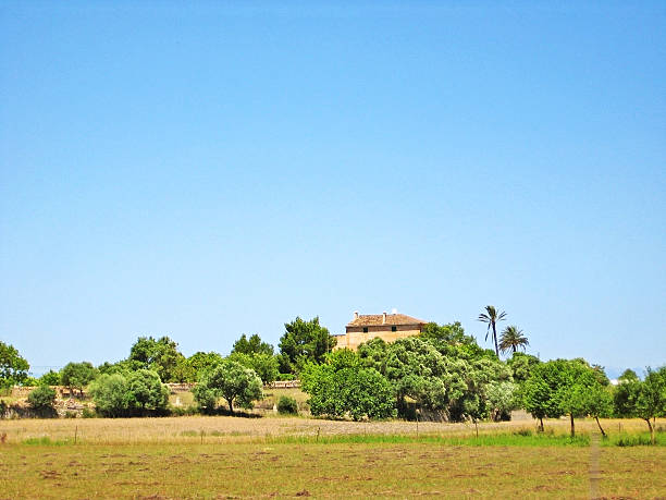 Hinterlands of Majorca - farm finca with trees an meadow