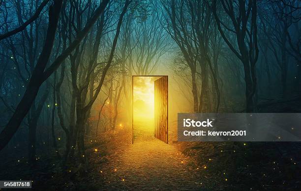 Puerta En El Bosque Foto de stock y más banco de imágenes de Fantasía - Fantasía, Puerta - Entrada, Bosque