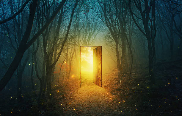 Door in forest A magical door in the forest with bright glowing lights. forest path stock pictures, royalty-free photos & images