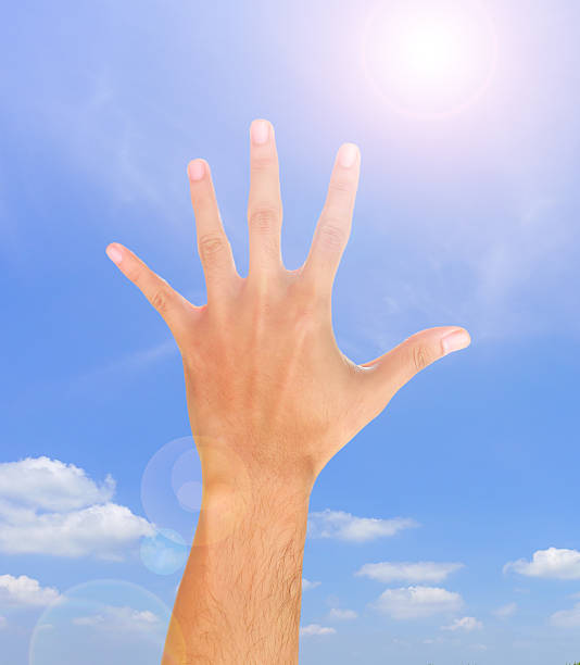 istock human hand showing fingers 545818214