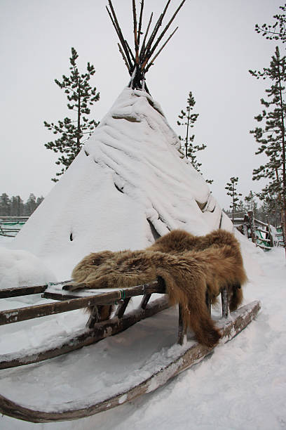 istock Sami tent, sledges and bearskin 545820324