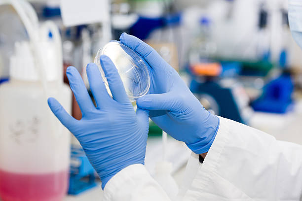 istock At the lab - culture dish 545980208