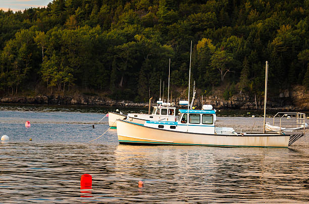 istock Fishing Boats in Bar Harbor at Sunset 545980600